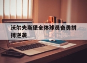 亚博-沃尔夫斯堡全体球员奋勇拼搏逆袭