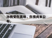 yabo-孙杨受伤离场，伤情尚未公布。