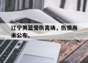 yabo-辽宁男篮受伤离场，伤情尚未公布。