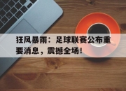 亚博-狂风暴雨：足球联赛公布重要消息，震撼全场！