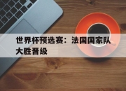 yabo-世界杯预选赛：法国国家队大胜晋级