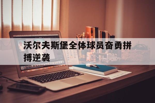 沃尔夫斯堡全体球员奋勇拼搏逆袭